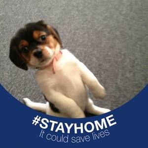 Meet your Posher, Kerry